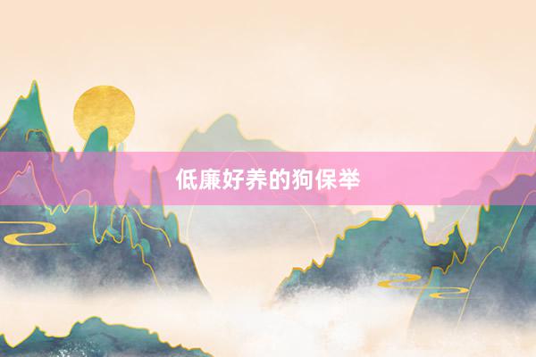低廉好养的狗保举