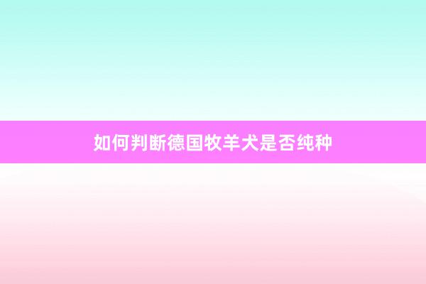 如何判断德国牧羊犬是否纯种