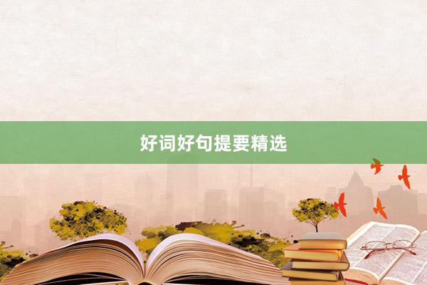 好词好句提要精选